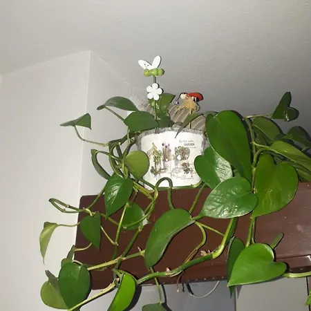 Zielone Wzgorze مزرعة للإقامة *