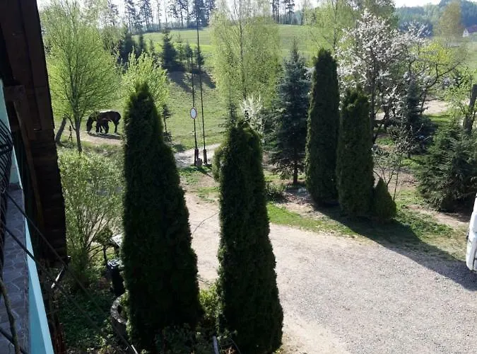 Zielone Wzgorze Sikorzyno